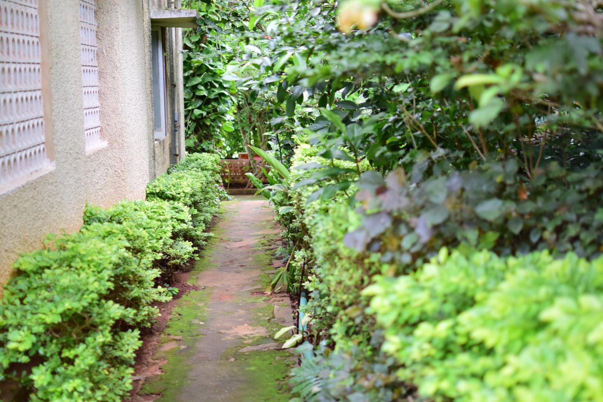 Silent Waters Resorts イェーラギリ エクステリア 写真